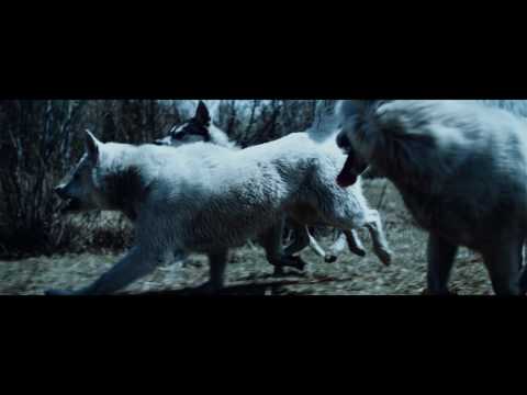 SaÏk - libre