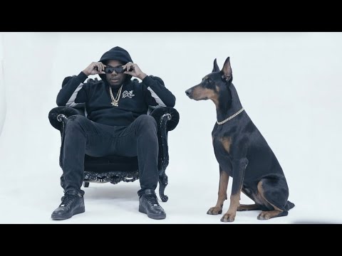 Latop - LabÉlo