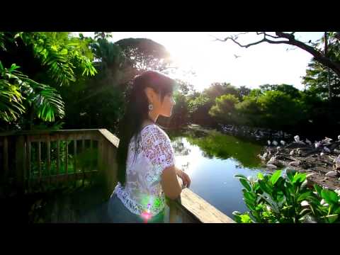 T-vice - Ma chérie je t'aime